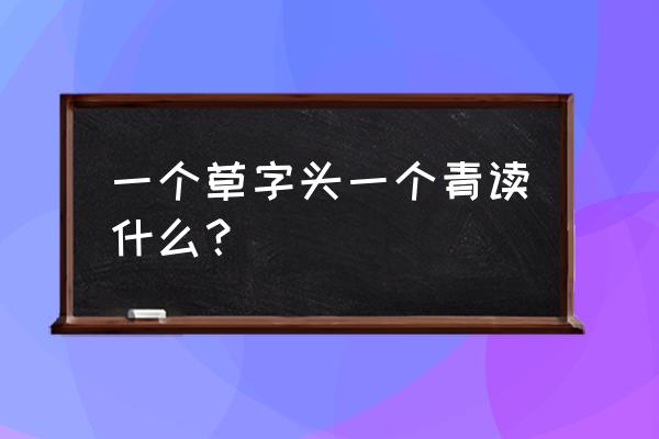 一个草字头一个青念什么 一个草字头一个青读什么？