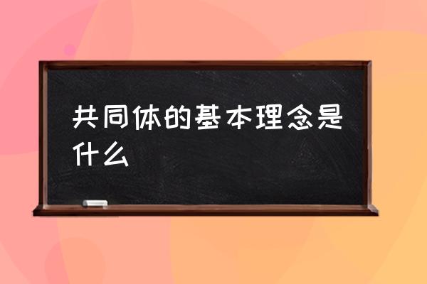 构建人类命运共同体的内涵 共同体的基本理念是什么