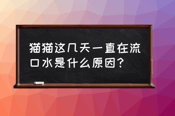 猫大量流口水 猫猫这几天一直在流口水是什么原因？