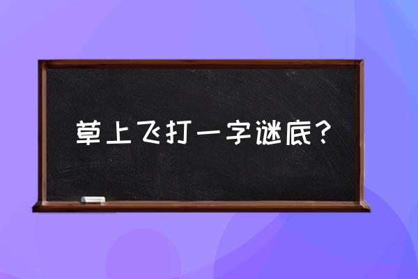 草上飞 打一汉字 草上飞打一字谜底？