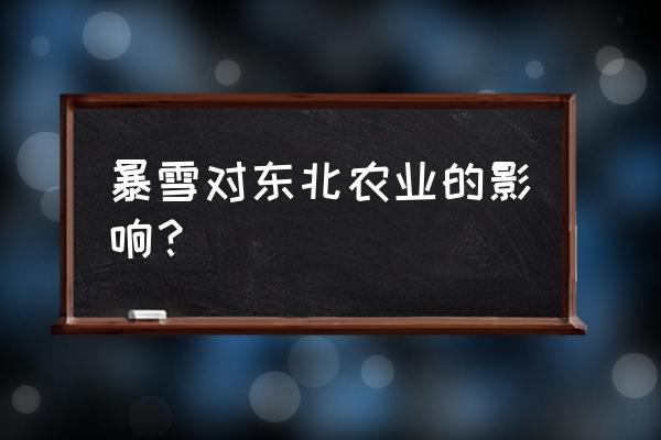 2020年东北暴雪 暴雪对东北农业的影响？