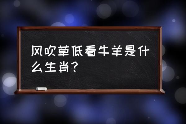 笼盖四野是指什么生肖 风吹草低看牛羊是什么生肖？