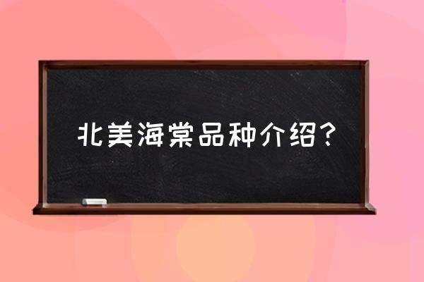 北美海棠哪个品种最好 北美海棠品种介绍？