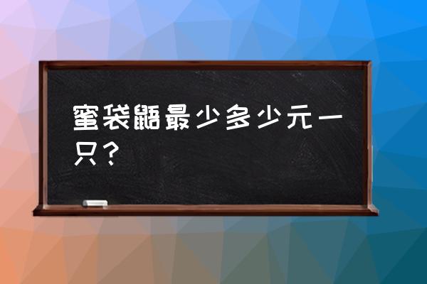 便宜蜜袋鼯多少钱一只 蜜袋鼯最少多少元一只？