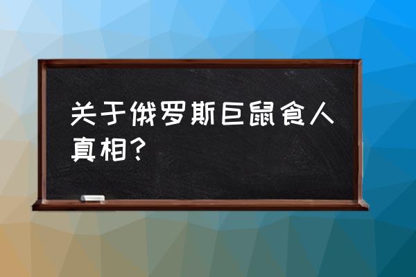 苏联切尔诺贝利巨鼠 关于俄罗斯巨鼠食人真相？