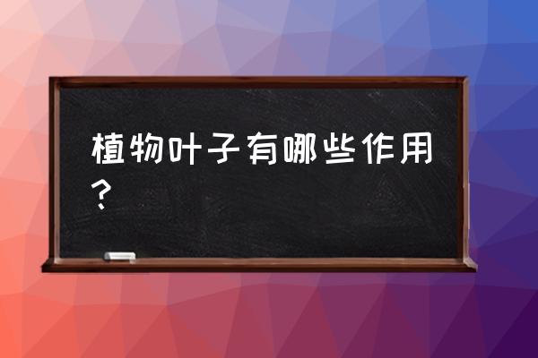 植物叶子的作用有哪些 植物叶子有哪些作用？