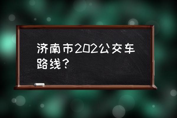 公交驾校最新班车路线 济南市202公交车路线？