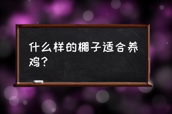 新式的肉鸡养殖大棚 什么样的棚子适合养鸡？