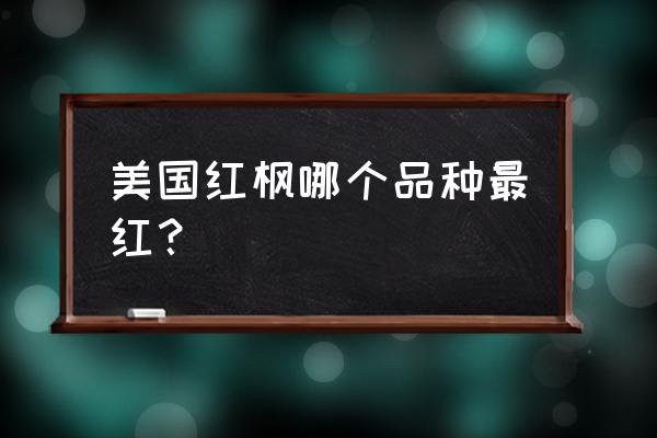 美国红枫啥品种最红 美国红枫哪个品种最红？