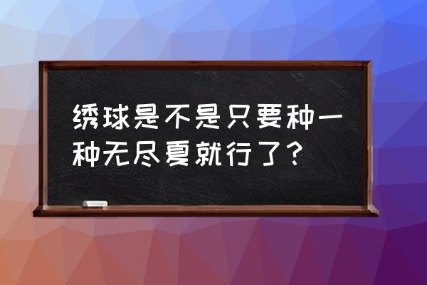 无尽夏的花是什么颜色 绣球是不是只要种一种无尽夏就行了？