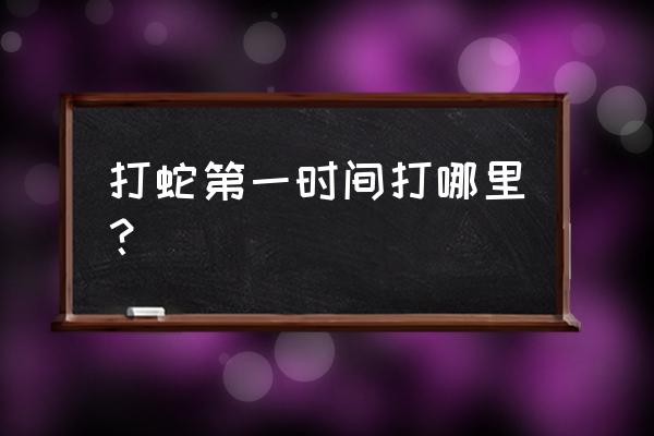 打蛇打七寸指哪里 打蛇第一时间打哪里？