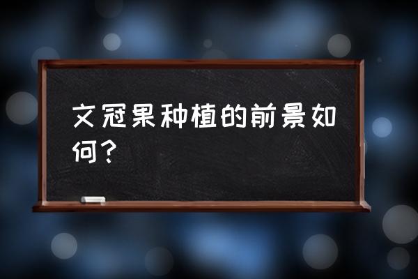 文冠果树产量 文冠果种植的前景如何？