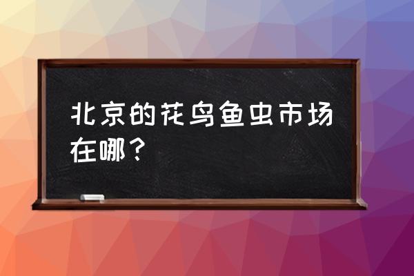 北京的花鸟鱼虫市场分布 北京的花鸟鱼虫市场在哪？