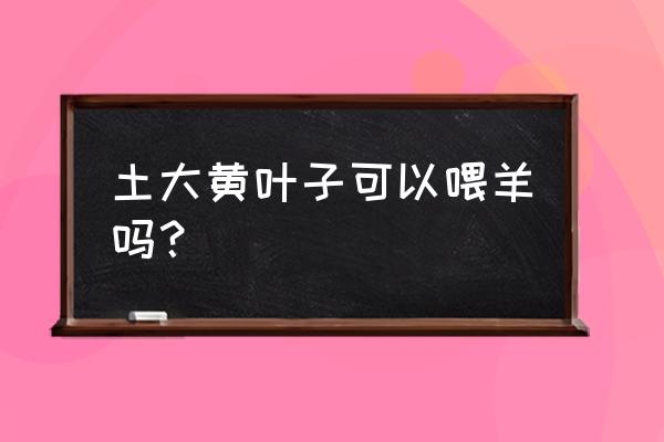 土大黄叶子可以吃吗 土大黄叶子可以喂羊吗？