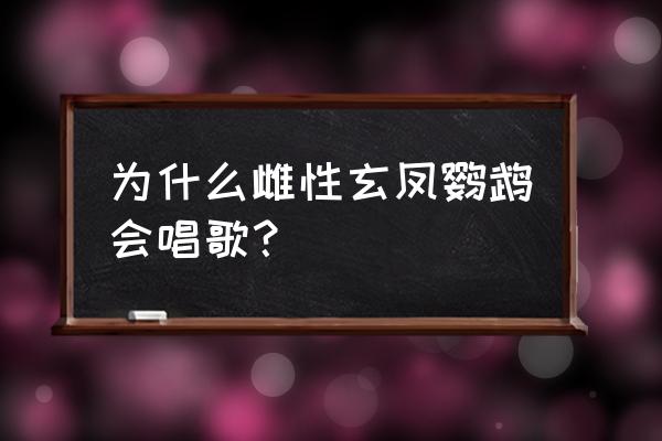 我家鹦鹉会唱歌 为什么雌性玄凤鹦鹉会唱歌？