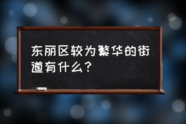 天津东丽一条街 东丽区较为繁华的街道有什么？