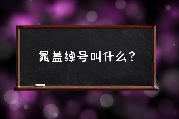 晁盖的别名 晁盖绰号叫什么？