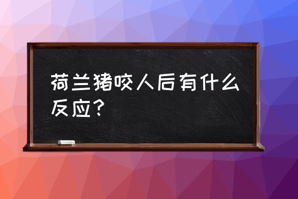 荷兰猪咬人有毒吗 荷兰猪咬人后有什么反应？