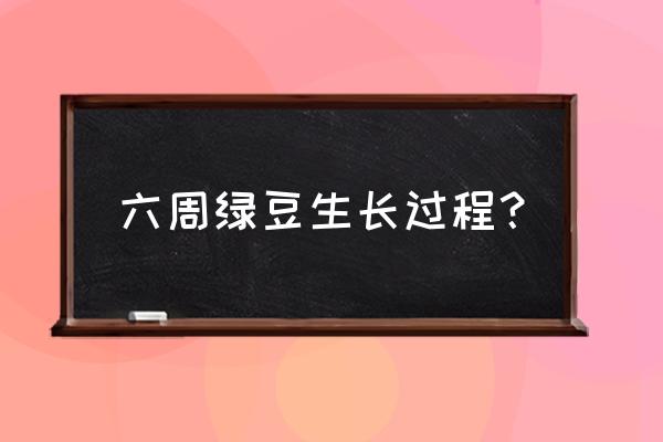 绿豆的生长过程表格 六周绿豆生长过程？