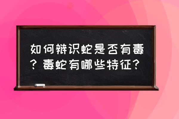 基伍树蝰可以养么 如何辩识蛇是否有毒？毒蛇有哪些特征？