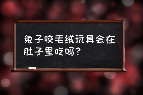 兔子能玩毛绒玩具吗 兔子咬毛绒玩具会在肚子里吃吗？