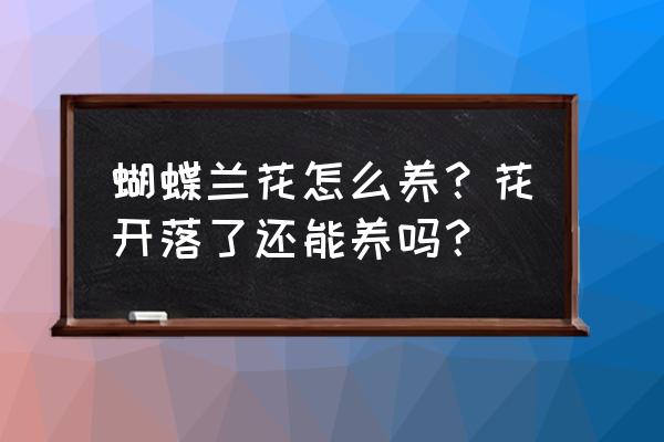 蝴蝶兰花落后怎么养 蝴蝶兰花怎么养？花开落了还能养吗？