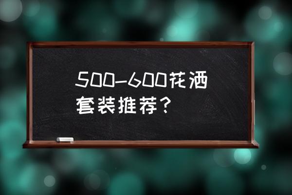 淋浴花洒套装 500-600花洒套装推荐？