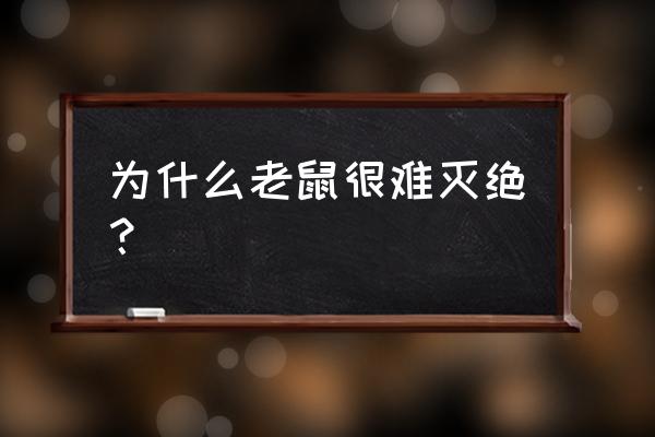 一百只老鼠原唱 为什么老鼠很难灭绝？