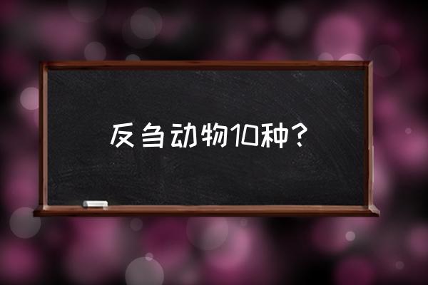 反刍动物都有什么动物 反刍动物10种？