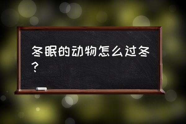 小动物们过冬的方式有哪些 冬眠的动物怎么过冬？