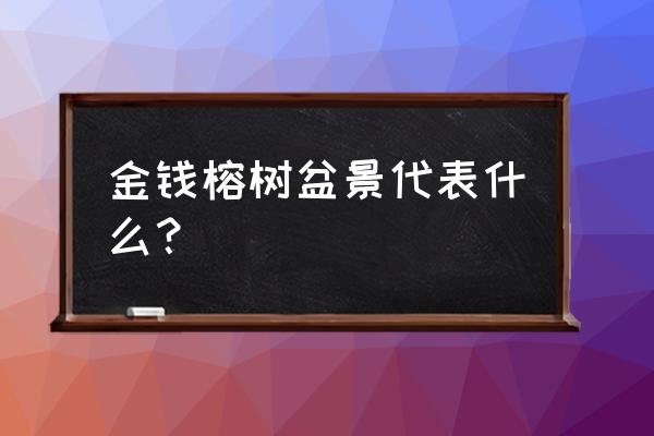 榕树盆景怎么养寓意 金钱榕树盆景代表什么？