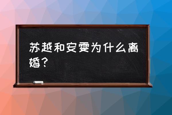 安雯苏越发生了什么 苏越和安雯为什么离婚？