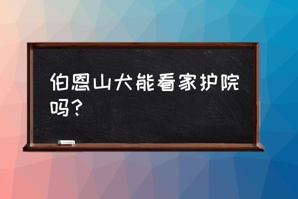 伯恩山犬舍 伯恩山犬能看家护院吗？