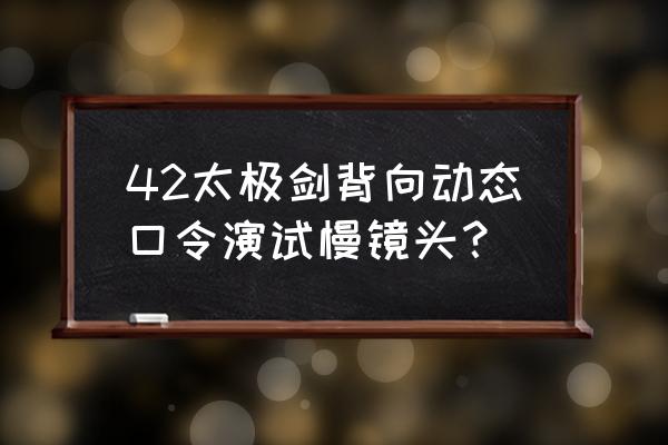 42式太极剑背向慢动作 42太极剑背向动态口令演试慢镜头？