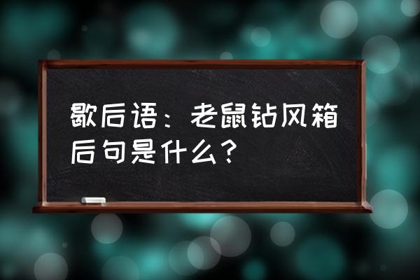 老鼠钻进风箱里下一句 歇后语：老鼠钻风箱后句是什么？