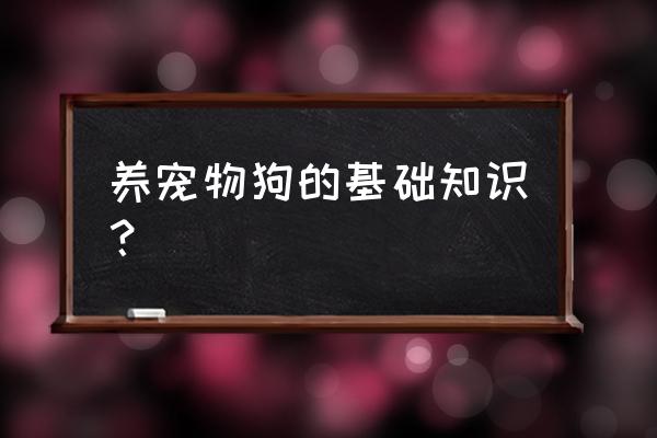 宠物知识学习 养宠物狗的基础知识？