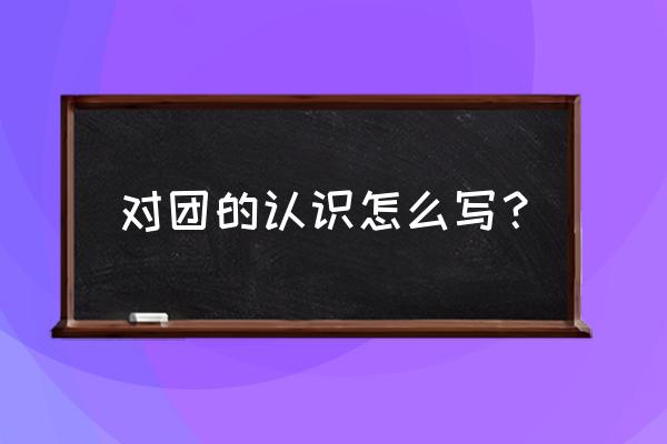 对团的认识体会 对团的认识怎么写？