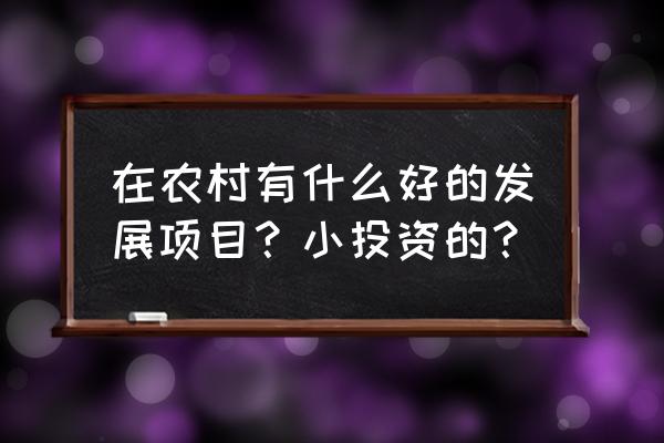 农村小型投资项目 在农村有什么好的发展项目？小投资的？