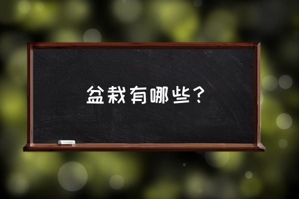 盆栽植物名称 盆栽有哪些？