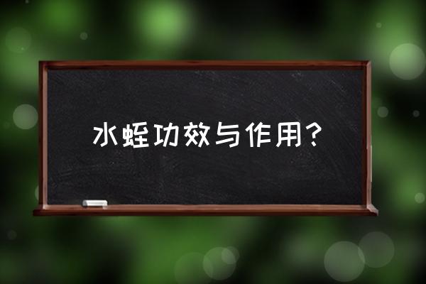 水蛭的神奇功效与作用 水蛭功效与作用？