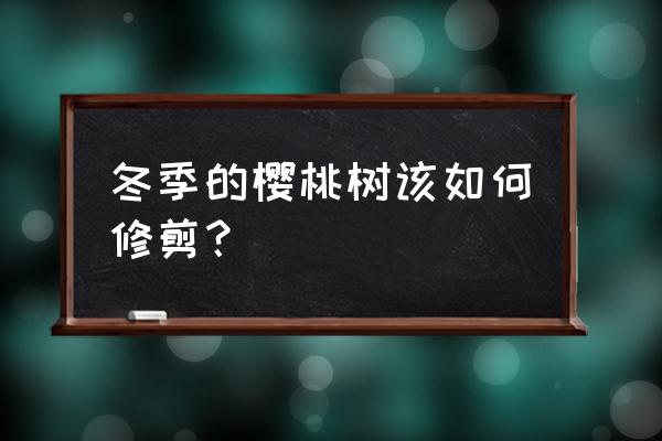 樱花树冬季修剪 冬季的樱桃树该如何修剪？