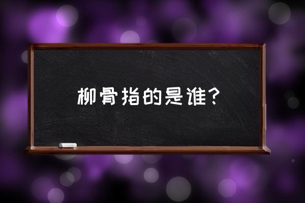 颜筋柳骨是指哪两个人 柳骨指的是谁？