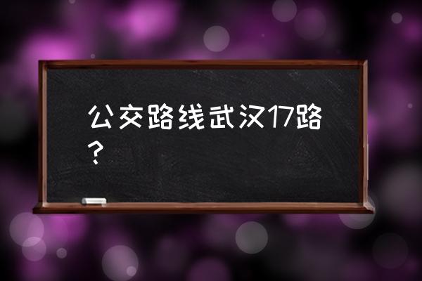 智能公交武汉 公交路线武汉17路？