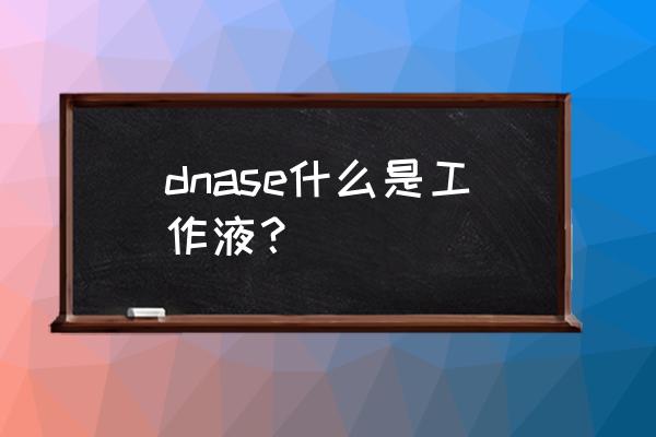 组织rna提取试剂盒 dnase什么是工作液？