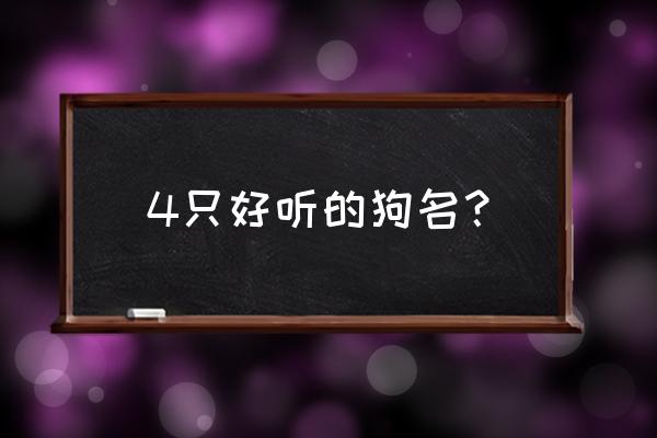 世界上最好听的狗名字 4只好听的狗名？