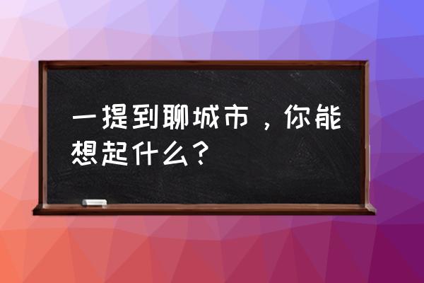 聊城数字城市 一提到聊城市，你能想起什么？