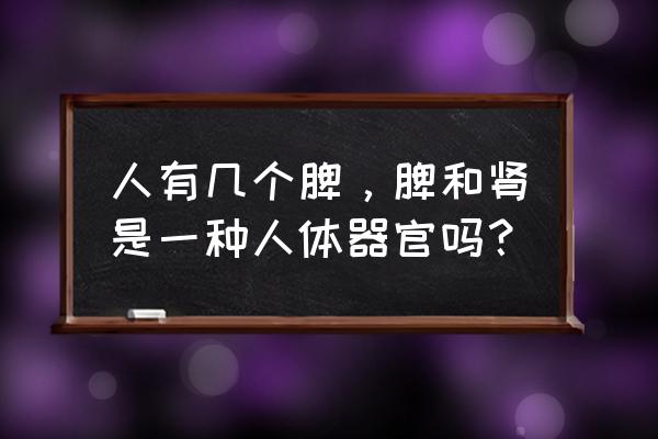 脾的生理功能是什么 人有几个脾，脾和肾是一种人体器官吗？