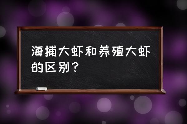 什么叫海捕大虾 海捕大虾和养殖大虾的区别？