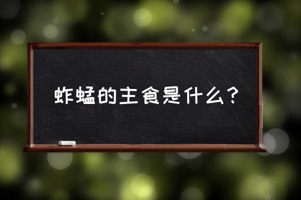 蚂蚱吃什么食物 蚱蜢的主食是什么？