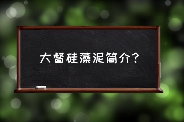 大督硅藻泥净化器 大督硅藻泥简介？